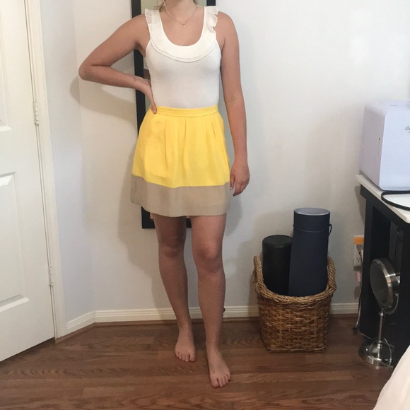 J.Crew Factory Pleated Color Block Skirt - Picture 3 of 9